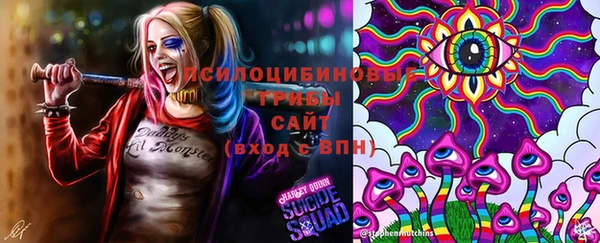 jwh Нефтекумск