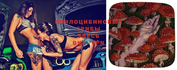 ешки Чегем